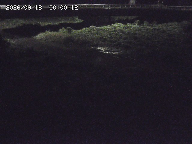 野坂川３2026/09/16 16:30