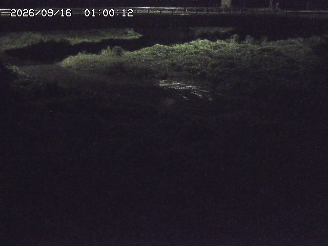 野坂川３2026/09/16 16:30