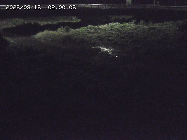 野坂川３2026/09/16 16:30