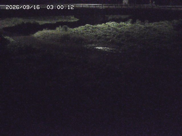 野坂川３2026/09/16 16:30