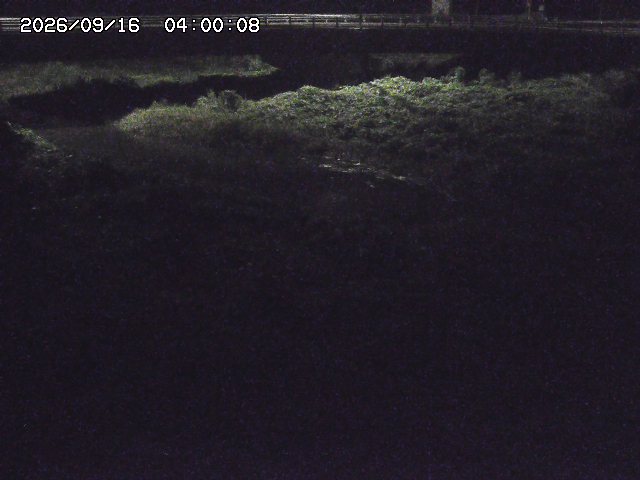 野坂川３2026/09/16 16:30