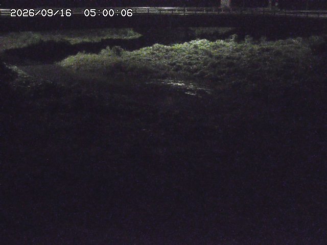野坂川３2026/09/16 16:30