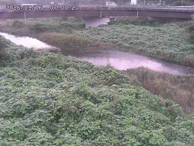 野坂川３2026/09/16 16:30