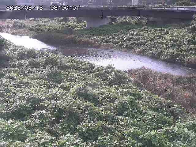 野坂川３2026/09/16 16:30