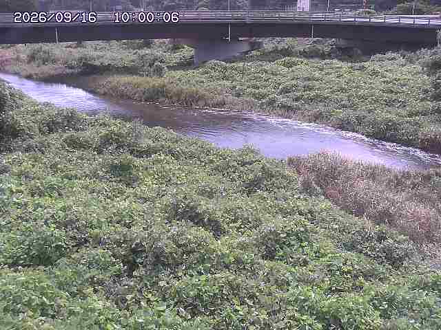 野坂川３2026/09/16 16:30