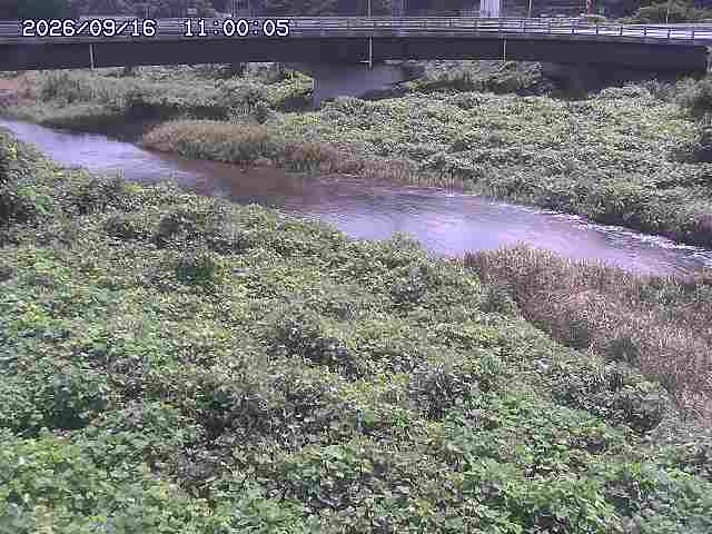野坂川３2026/09/16 16:30
