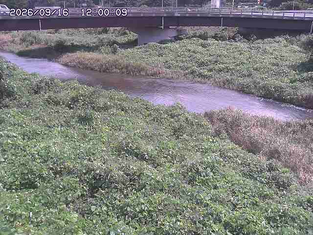 野坂川３2026/09/16 16:30