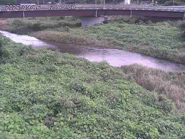 野坂川３2026/09/16 16:30