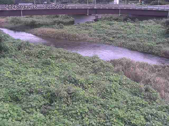 野坂川３2026/09/16 16:30