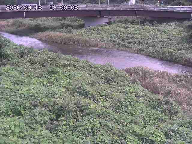 野坂川３2026/09/16 16:30