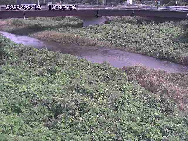野坂川３2026/09/16 16:30