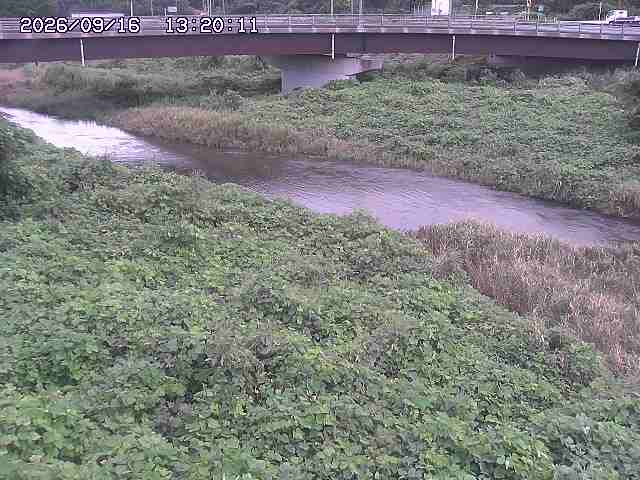 野坂川３2026/09/16 16:30