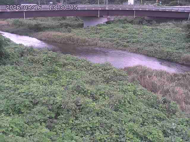 野坂川３2026/09/16 16:30