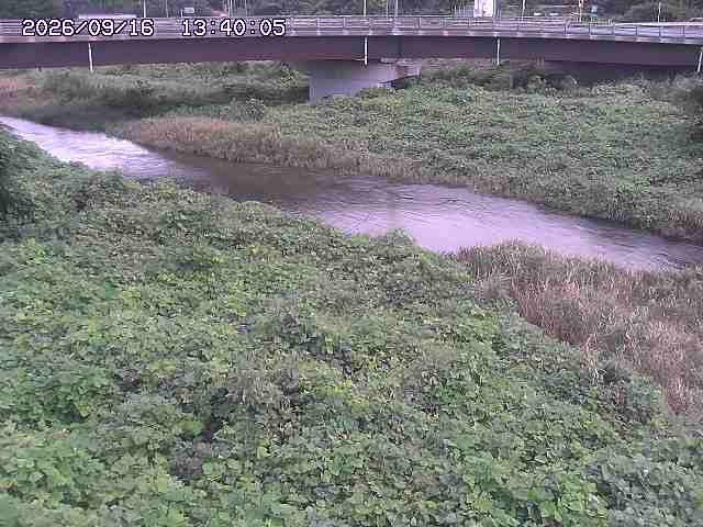 野坂川３2026/09/16 16:30