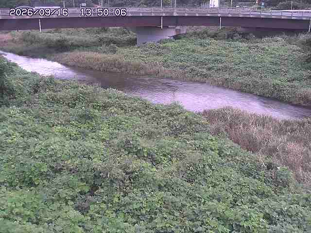 野坂川３2026/09/16 16:30