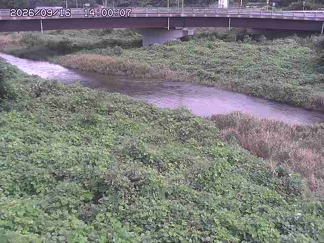 野坂川３2026/09/16 16:30