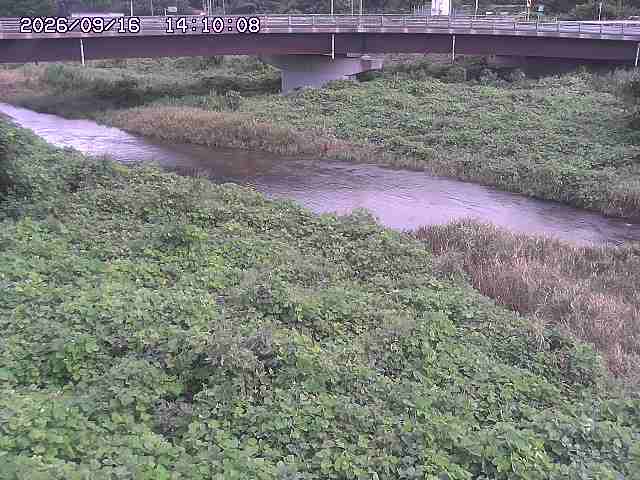 野坂川３2026/09/16 16:30
