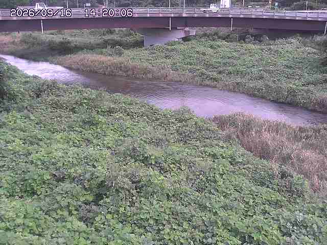野坂川３2026/09/16 16:30