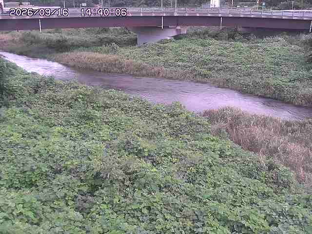 野坂川３2026/09/16 16:30
