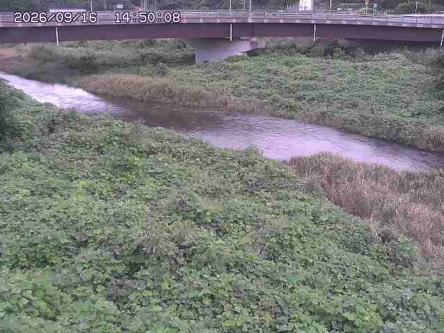 野坂川３2026/09/16 16:30