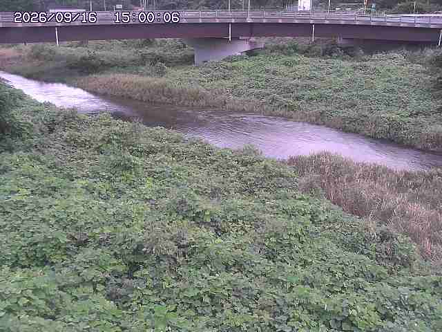 野坂川３2026/09/16 16:30