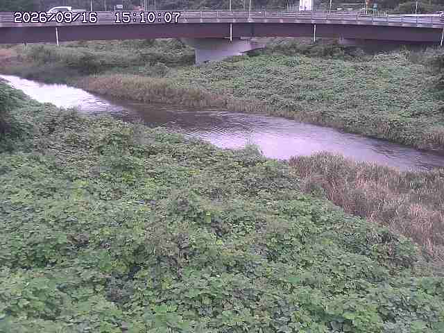 野坂川３2026/09/16 16:30