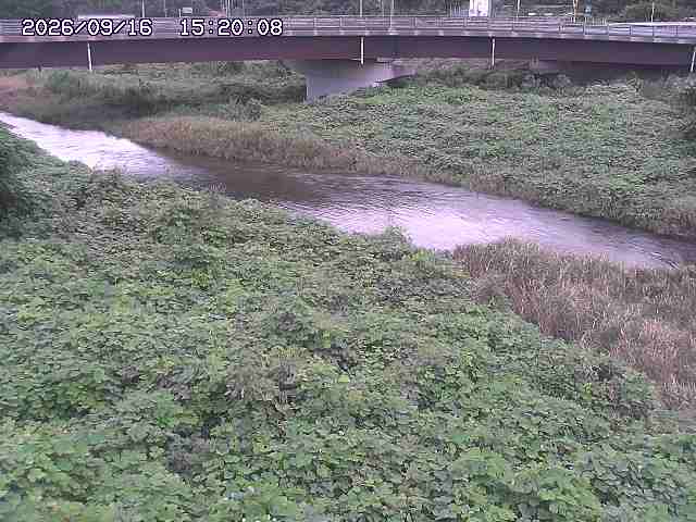 野坂川３2026/09/16 16:30