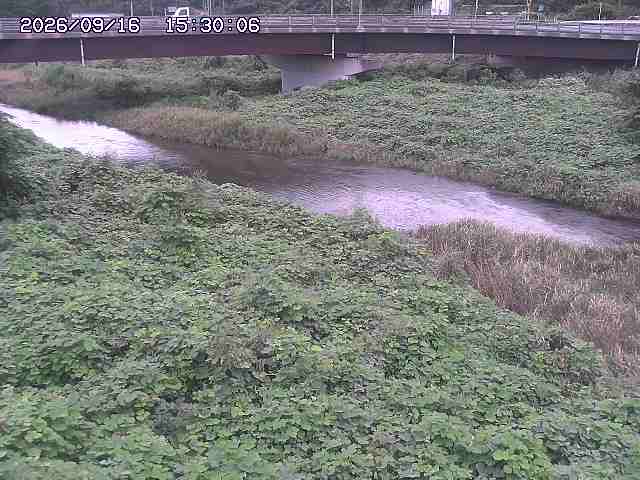 野坂川３2026/09/16 16:30