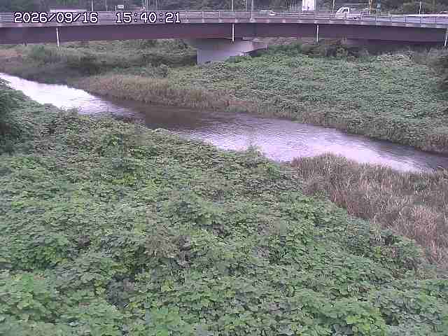 野坂川３2026/09/16 16:30