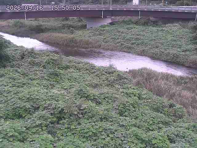 野坂川３2026/09/16 16:30