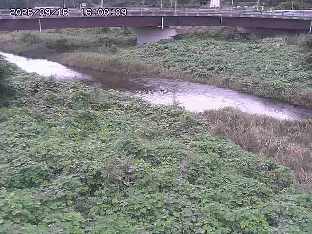 野坂川３2026/09/16 16:30