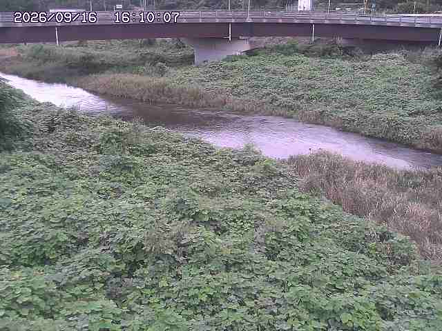 野坂川３2026/09/16 16:30