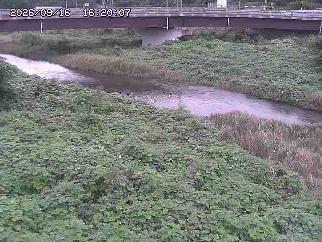 野坂川３2026/09/16 16:30