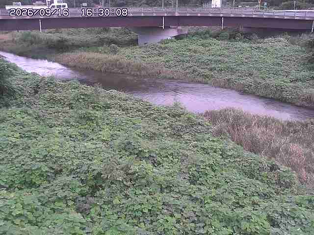 野坂川３2026/09/16 16:30