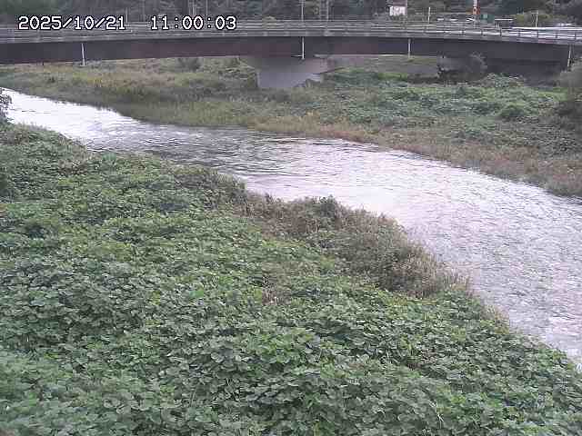 野坂川３2025/10/22 11:10