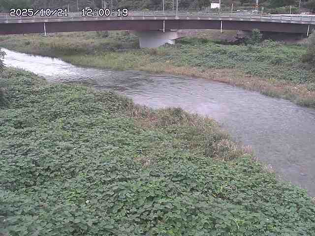 野坂川３2025/10/22 11:10