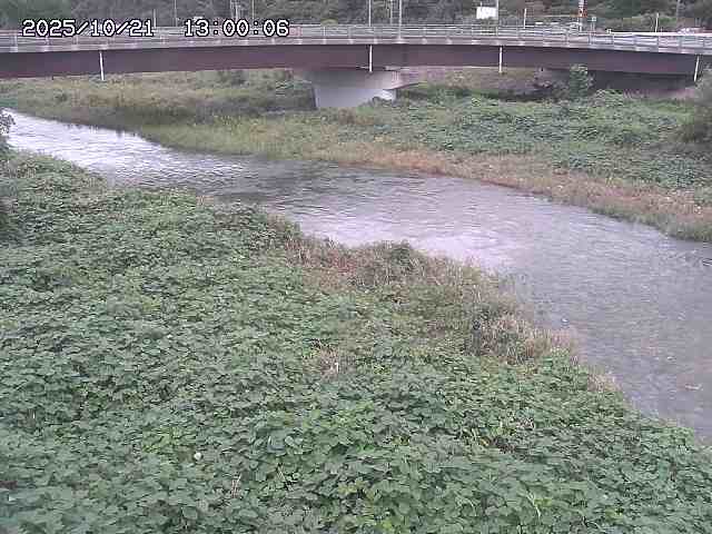 野坂川３2025/10/22 11:10