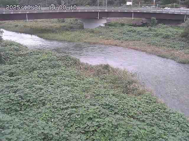 野坂川３2025/10/22 11:10