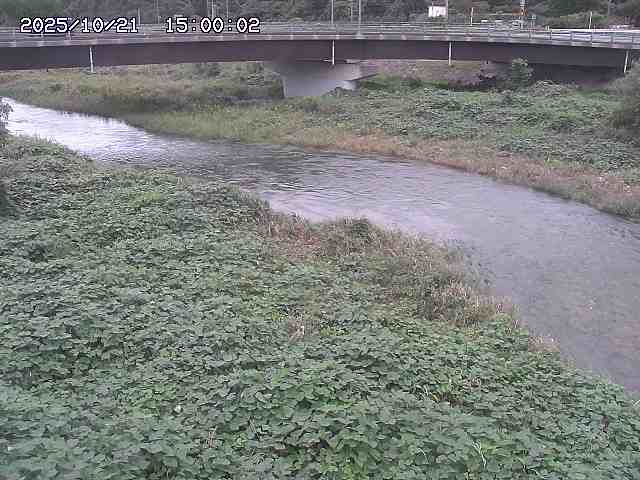野坂川３2025/10/22 11:10