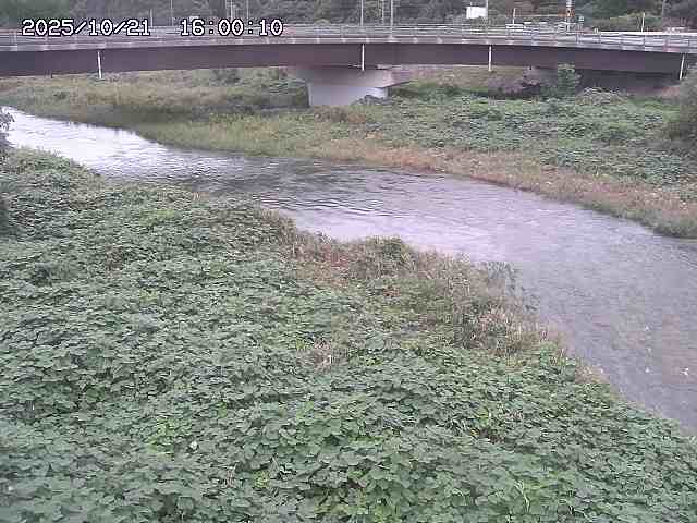 野坂川３2025/10/22 11:10