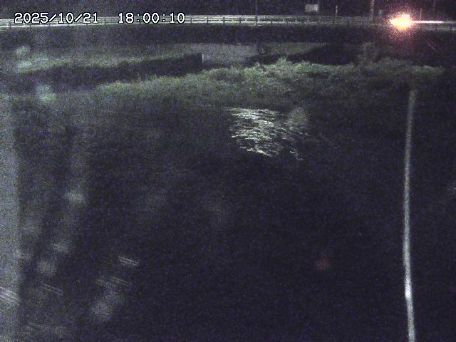 野坂川３2025/10/22 11:10