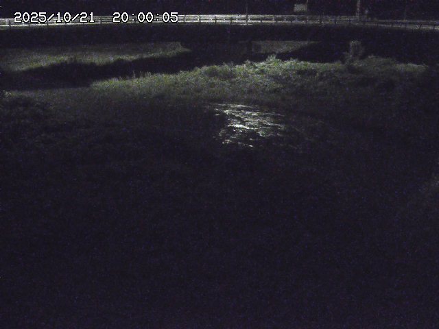 野坂川３2025/10/22 11:10