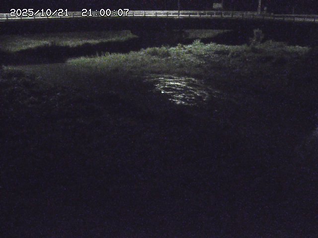 野坂川３2025/10/22 11:10