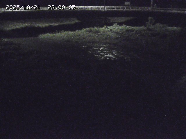 野坂川３2025/10/22 11:10