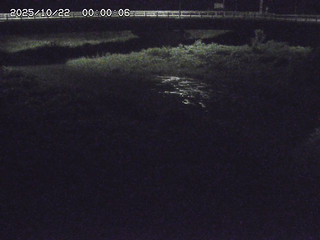 野坂川３2025/10/22 11:10