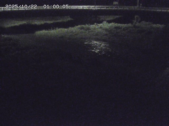 野坂川３2025/10/22 11:10