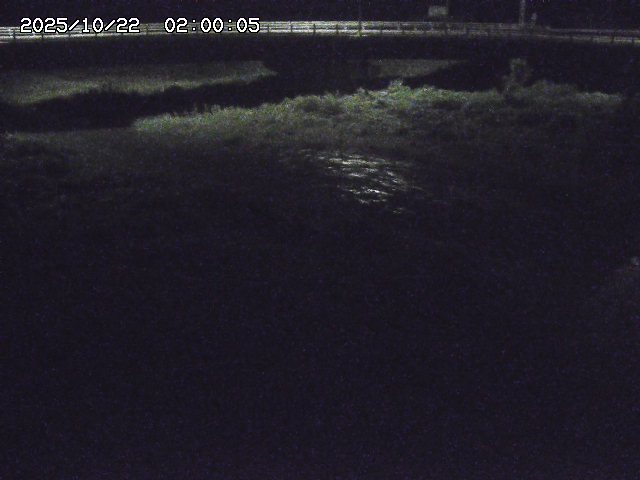 野坂川３2025/10/22 11:10