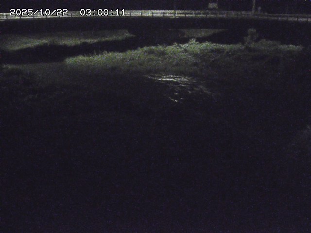 野坂川３2025/10/22 11:10