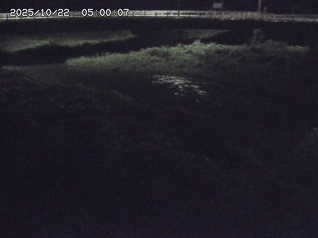野坂川３2025/10/22 11:10