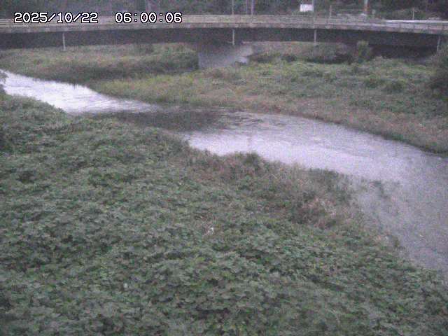 野坂川３2025/10/22 11:10